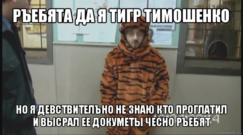 ръебята да я тигр тимошенко но я девствителъно не знаю кто проглатил и высрал ее докуметы чесно ръебят, Мем Бородач в костюме тигра (Наша Раша)