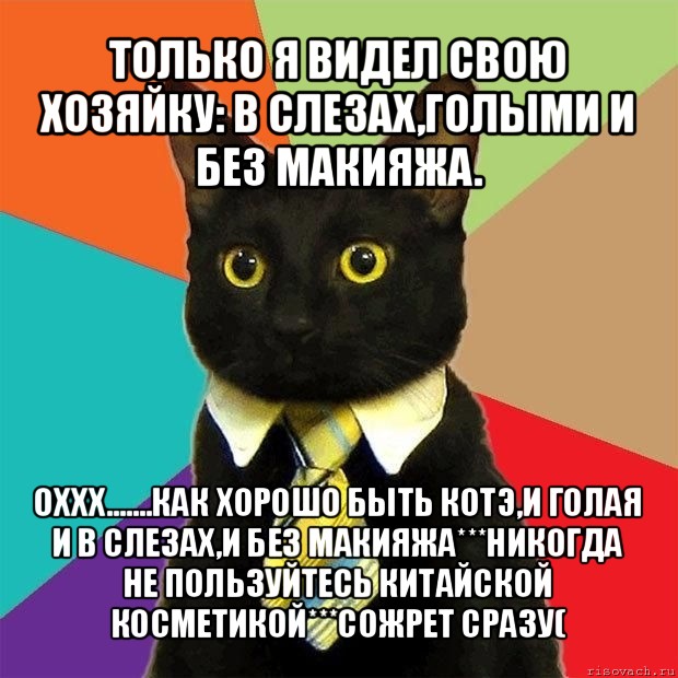 только я видел свою хозяйку: в слезах,голыми и без макияжа. оххх.......как хорошо быть котэ,и голая и в слезах,и без макияжа***никогда не пользуйтесь китайской косметикой***сожрет сразу(, Мем  Кошечка