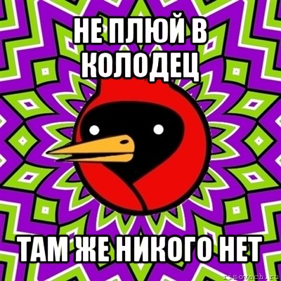 не плюй в колодец там же никого нет