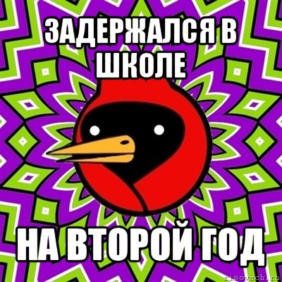 задержался в школе на второй год, Мем Омская птица