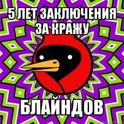 5 лет заключения за кражу блайндов, Мем Омская птица