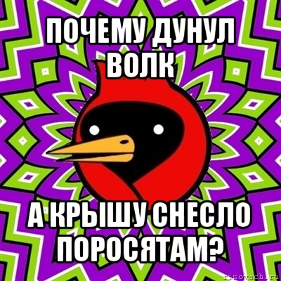 почему дунул волк а крышу снесло поросятам?, Мем Омская птица