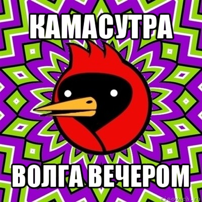 камасутра волга вечером, Мем Омская птица