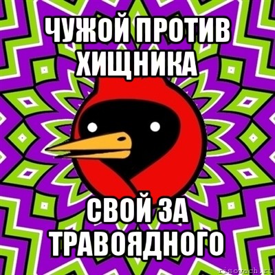 чужой против хищника свой за травоядного, Мем Омская птица