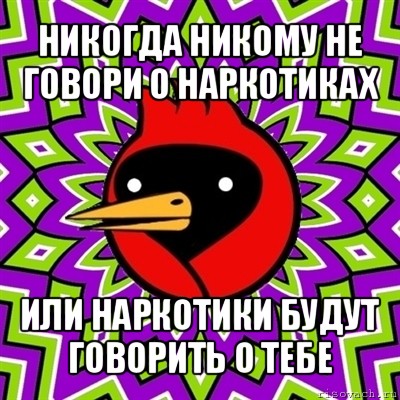 никогда никому не говори о наркотиках или наркотики будут говорить о тебе, Мем Омская птица