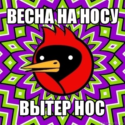 весна на носу вытер нос, Мем Омская птица