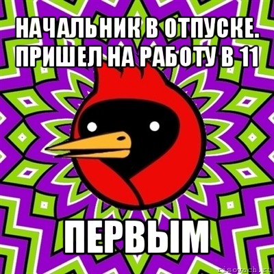 начальник в отпуске. пришел на работу в 11 первым, Мем Омская птица