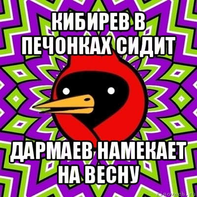 кибирев в печонках сидит дармаев намекает на весну, Мем Омская птица