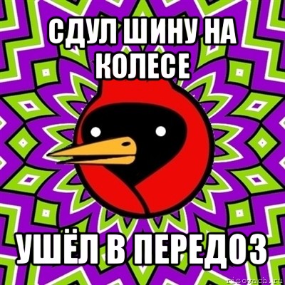 сдул шину на колесе ушёл в передоз, Мем Омская птица