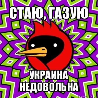 стаю, газую украина недовольна, Мем Омская птица