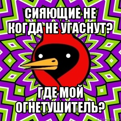 сияющие не когда не угаснут? где мой огнетушитель?, Мем Омская птица