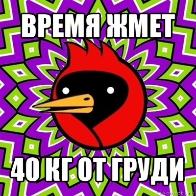 время жмет 40 кг от груди, Мем Омская птица