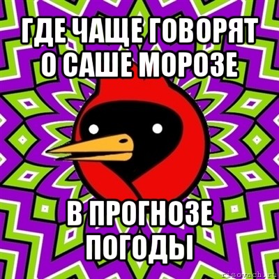 где чаще говорят о саше морозе в прогнозе погоды, Мем Омская птица