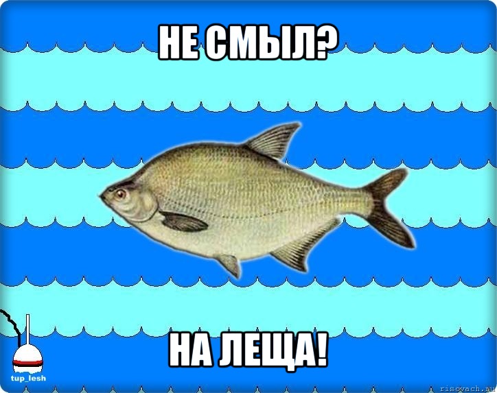 не смыл? на леща!