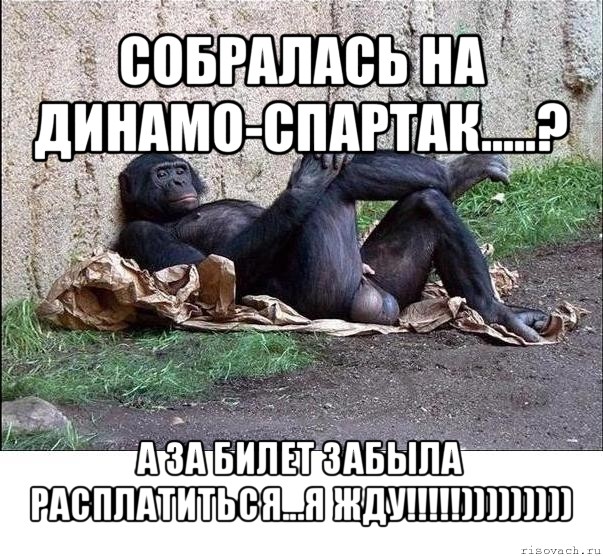 собралась на динамо-спартак.....? а за билет забыла расплатиться...я жду!!!))))))))), Мем а танцую я не очень