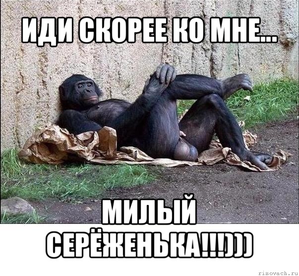 иди скорее ко мне... милый серёженька!!!))), Мем а танцую я не очень