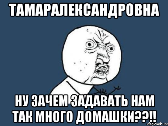 тамаралександровна ну зачем задавать нам так много домашки??!!, Мем Ну почему