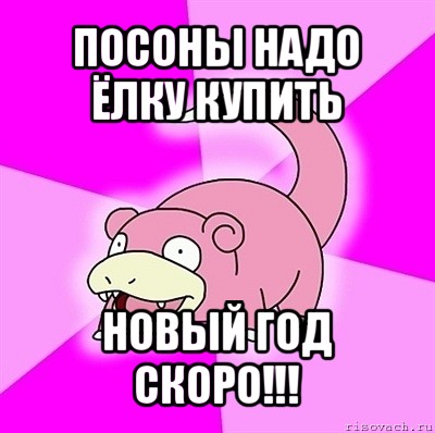 посоны надо ёлку купить новый год скоро!!!, Мем слоупок