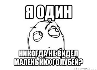 я один никогда не видел маленьких голубей?