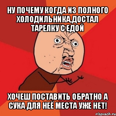 ну почему когда из полного холодильника,достал тарелку с едой хочеш поставить обратно а сука для неё места уже нет!