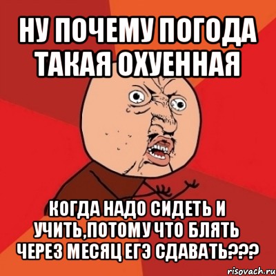 ну почему погода такая охуенная когда надо сидеть и учить,потому что блять через месяц егэ сдавать???