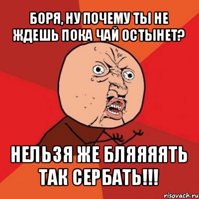 боря, ну почему ты не ждешь пока чай остынет? нельзя же бляяяять так сербать!!!