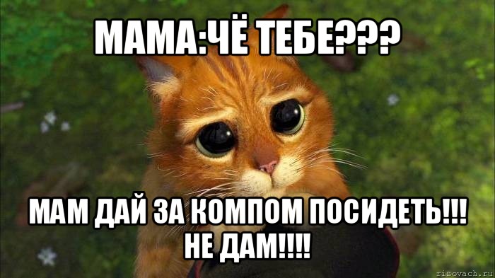 мама:чё тебе??? мам дай за компом посидеть!!!
не дам!!!