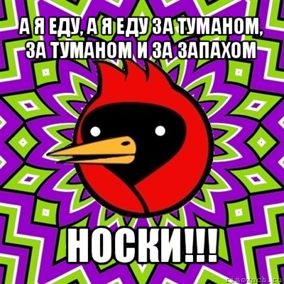 а я еду, а я еду за туманом,
за туманом и за запахом носки!!!, Мем Омская птица