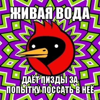 живая вода даёт пизды за попытку поссать в неё, Мем Омская птица