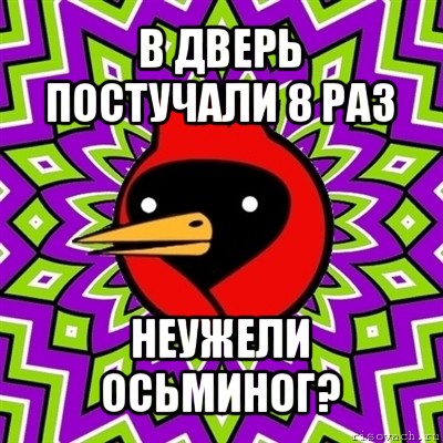 в дверь постучали 8 раз неужели осьминог?, Мем Омская птица