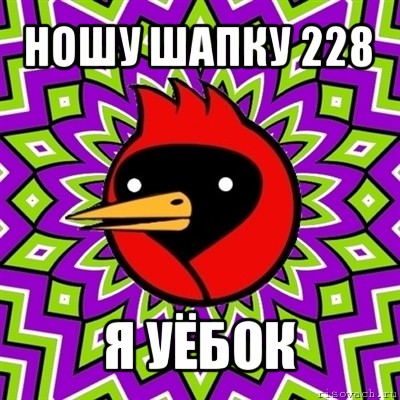 ношу шапку 228 я уёбок, Мем Омская птица