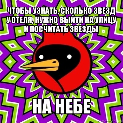 чтобы узнать, сколько звезд у отеля, нужно выйти на улицу и посчитать звезды на небе, Мем Омская птица