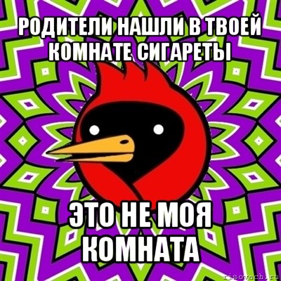 родители нашли в твоей комнате сигареты это не моя комната, Мем Омская птица