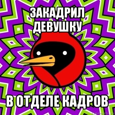 закадрил девушку в отделе кадров, Мем Омская птица