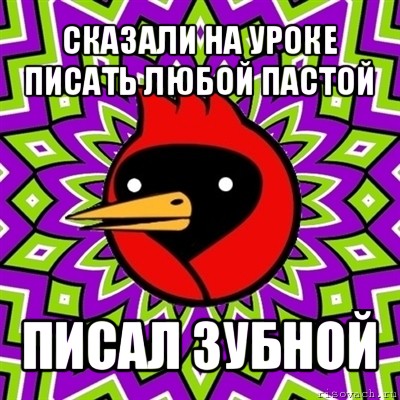 сказали на уроке писать любой пастой писал зубной, Мем Омская птица