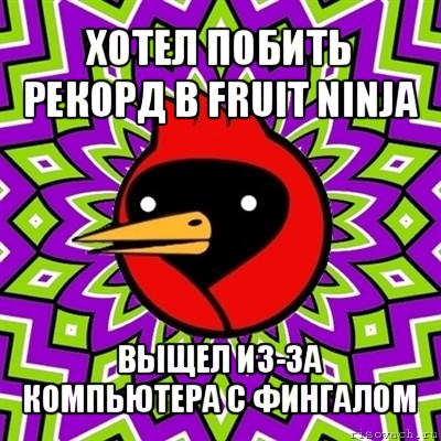 хотел побить рекорд в fruit ninja выщел из-за компьютера с фингалом, Мем Омская птица