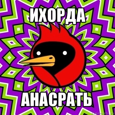 ихорда анасрать, Мем Омская птица