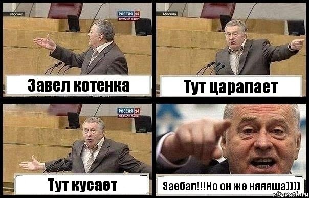 Завел котенка Тут царапает Тут кусает Заебал!!!Но он же няяяша)))), Комикс с Жириновским