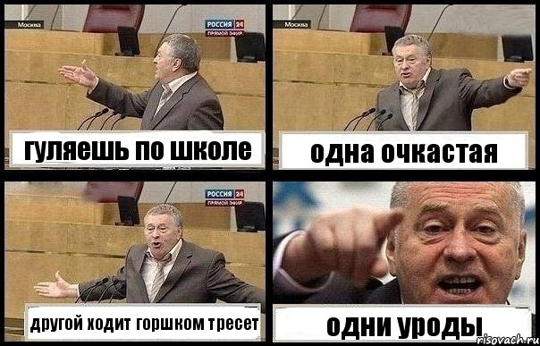 гуляешь по школе одна очкастая другой ходит горшком тресет одни уроды, Комикс с Жириновским