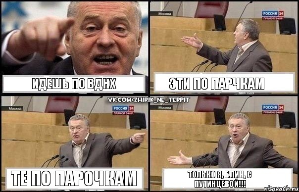 Идешь по ВДНХ Эти по парчкам Те по парочкам Только я, блин, с Путинцевой!!!, Комикс Жириновский