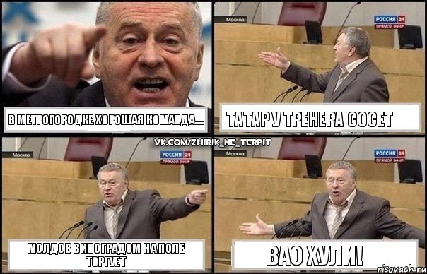 в Метрогородке хорошая команда.... Татар у тренера сосет Молдов виноградом на поле торгует ВАО хули!, Комикс Жириновский