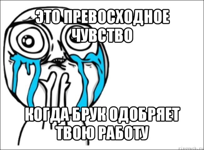 это превосходное чувство когда брук одобряет твою работу, Мем Это самый