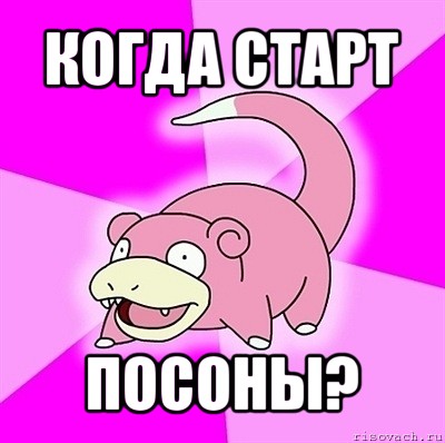 когда старт посоны?