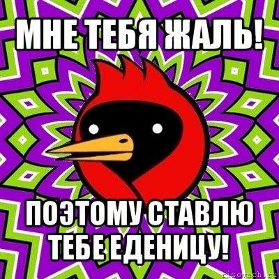 мне тебя жаль! поэтому ставлю тебе еденицу!, Мем Омская птица