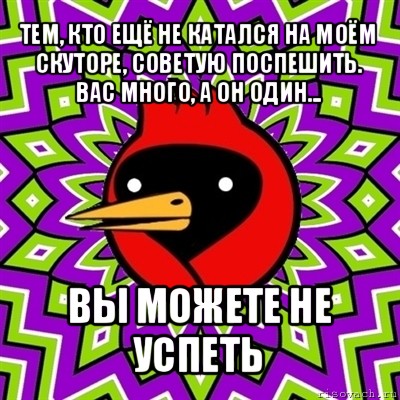 тем, кто ещё не катался на моём скуторе, советую поспешить. вас много, а он один... вы можете не успеть, Мем Омская птица