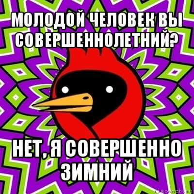 молодой человек вы совершеннолетний? нет, я совершенно зимний, Мем Омская птица