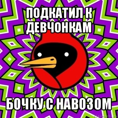 подкатил к девчонкам бочку с навозом, Мем Омская птица