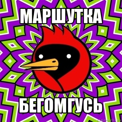 маршутка бегомгусь, Мем Омская птица