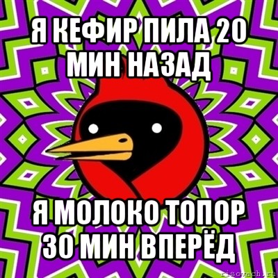 я кефир пила 20 мин назад я молоко топор 30 мин вперёд, Мем Омская птица