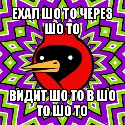 ехал шо то через шо то видит шо то в шо то шо то, Мем Омская птица